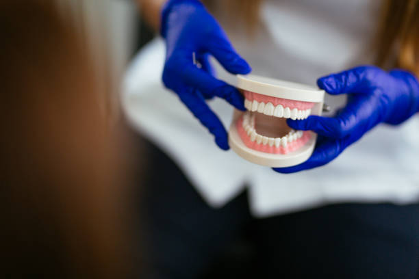 Trusted Milwaukie, OR  Holistic Dental Services Experts